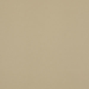 Polaris Vertical Blinds Blind - Beige
